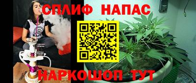 спиды Гусев