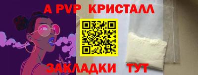 спиды Гусев