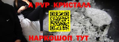 спиды Гусев