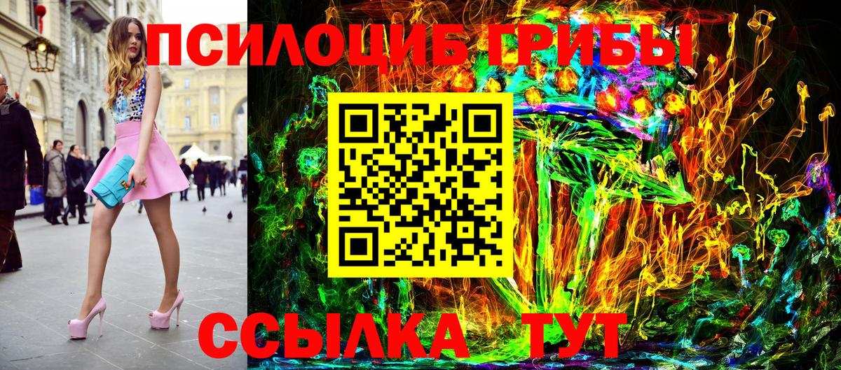 Псилоцибиновые грибы Psilocybine cubensis Мелеуз